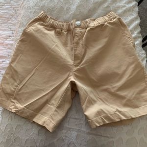 Men’s Chubbies Golf Shorts